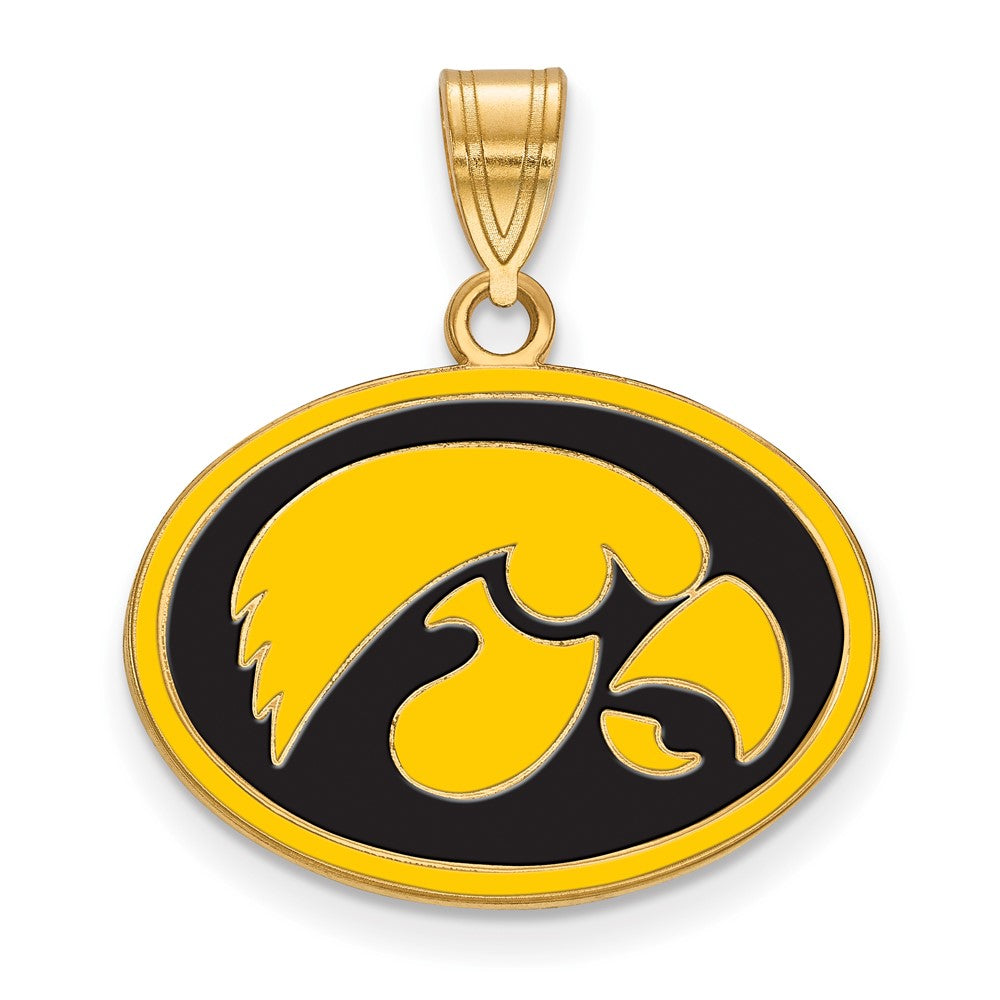 Vergoldet Sterlingsilber Logoart University Of Iowa Hawk Mittel Oval Emailliert Anhänger
