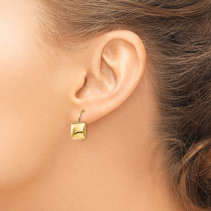 14K Gelbgold Poliert 9.5mm Gewölbt Quadratisch Kidney Draht Ohrringe
