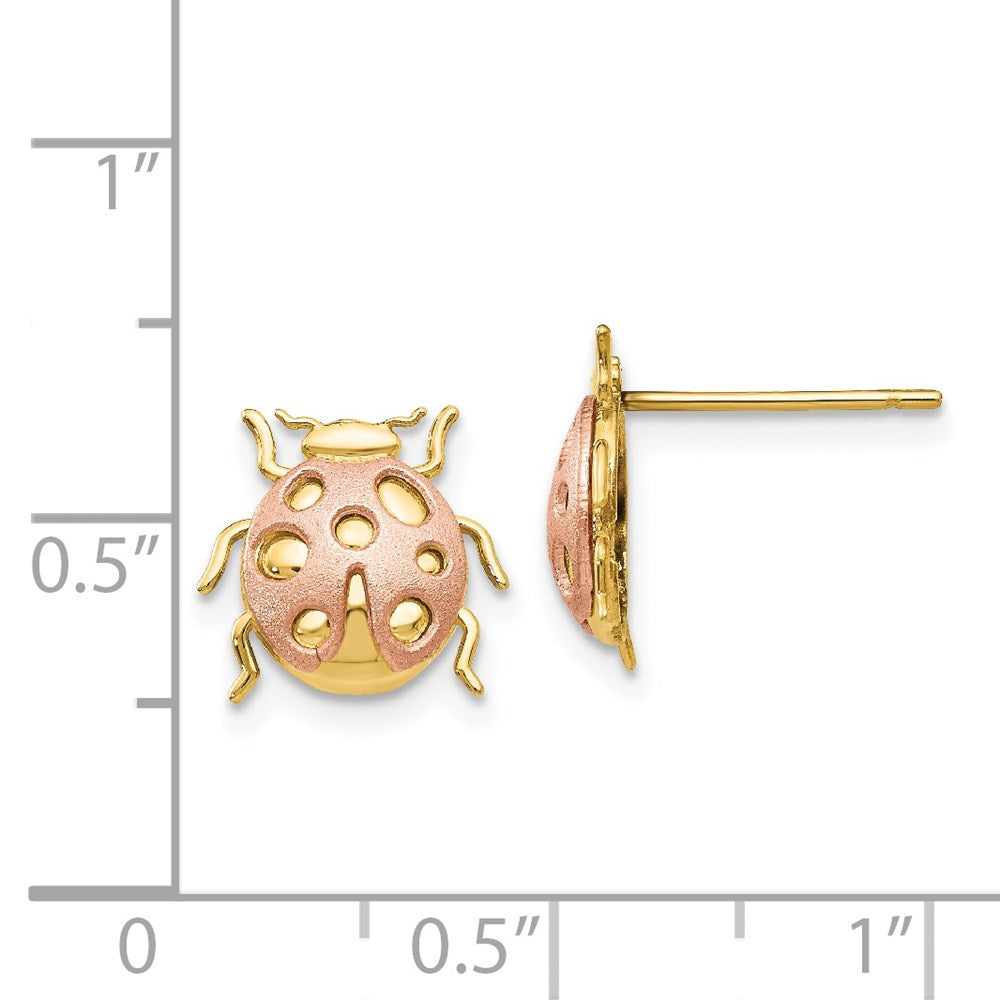 14K Bicolor-Gold Marienkäfer-Ohrstecker