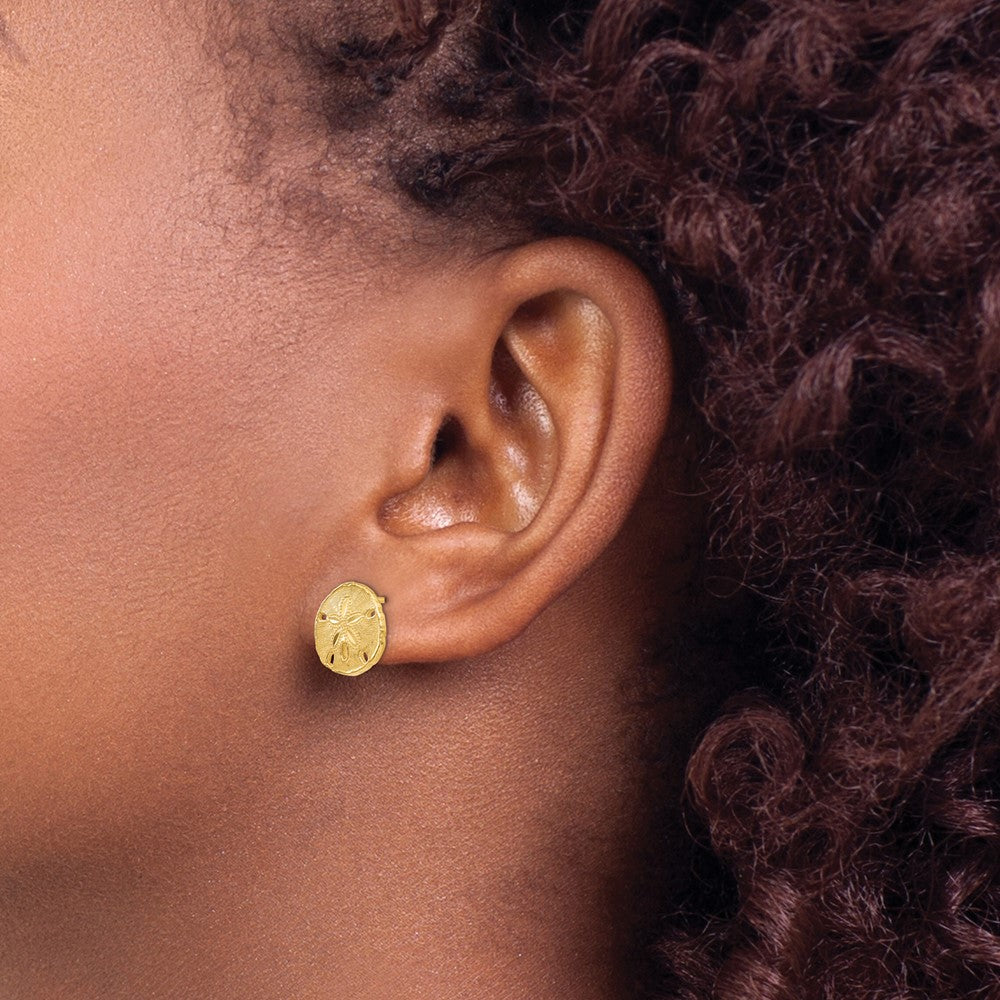14K Gelbgold polierte und texturierte Sanddollar-Ohrstecker