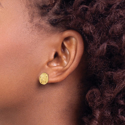 14K Gelbgold polierte und texturierte Sanddollar-Ohrstecker
