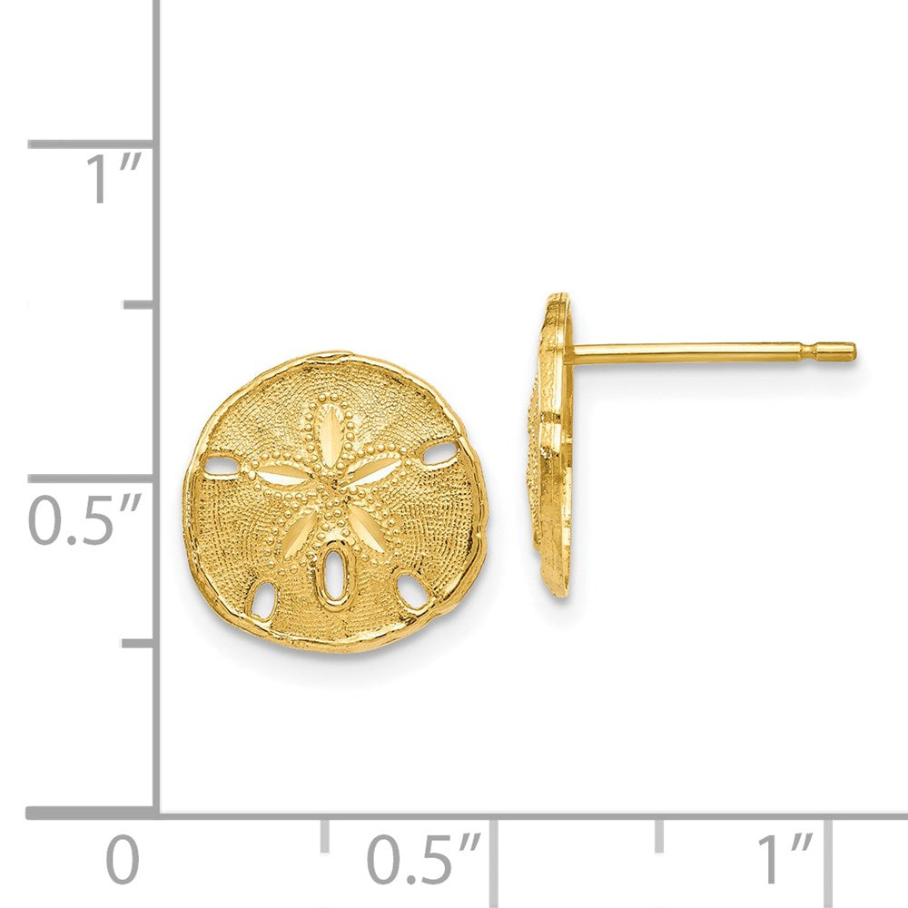 14K Gelbgold polierte und texturierte Sanddollar-Ohrstecker