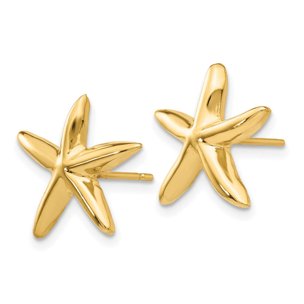 14K Gold Gelbgold Seestern-Ohrstecker, poliert