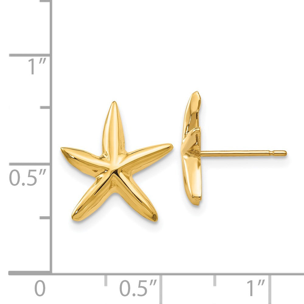 14K Gold Gelbgold Seestern-Ohrstecker, poliert