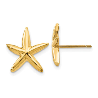 14K Gold Gelbgold Seestern-Ohrstecker, poliert