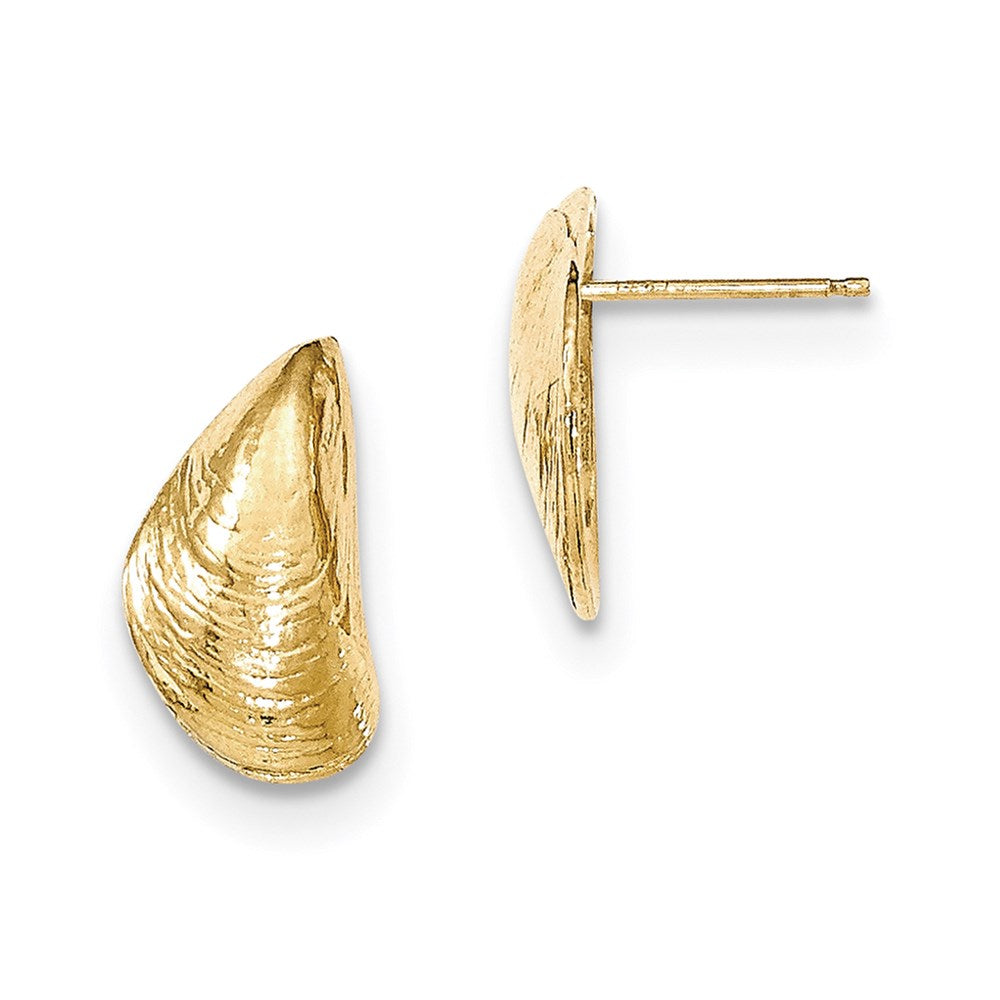 14K Gelbgold Ohrstecker in Muschelform