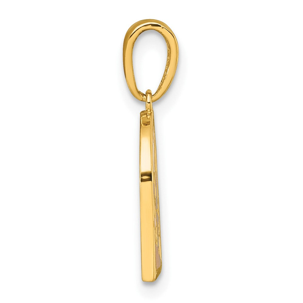 14K Gelbgold Poliert Mehrfarbig Emaille Sunset und Mond Charm