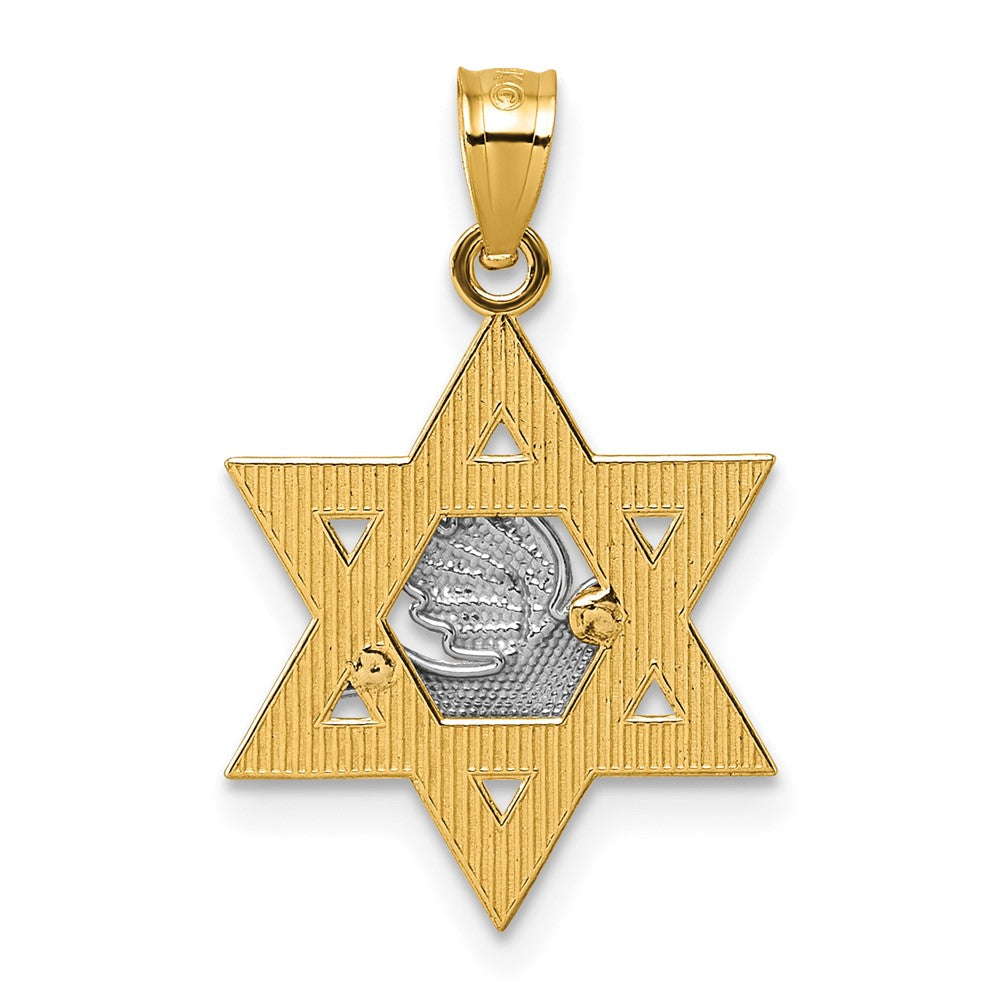 14K Bicolor Strukturiert/diamantiert Taube auf Stern Of David Anhänger