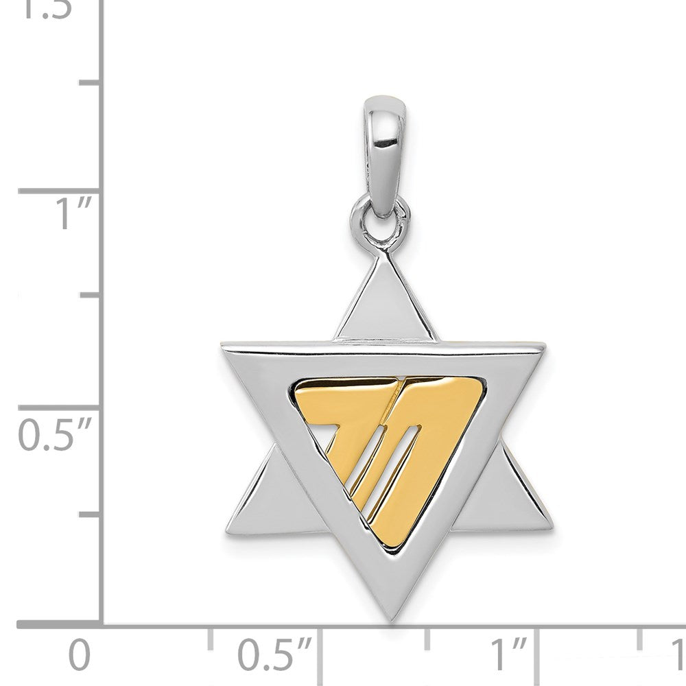14K Bicolor Gold Davidstern-Anhänger