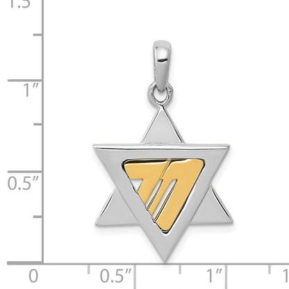 14K Bicolor Gold Davidstern-Anhänger