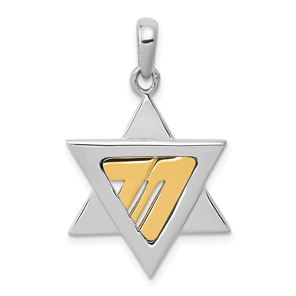 14K Bicolor Gold Davidstern-Anhänger
