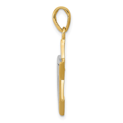 14 Karat Bicolor-Gold Anhänger Davidstern