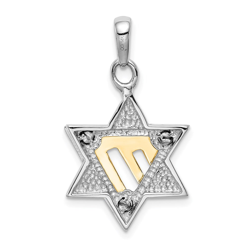 14K Bicolor Gold Davidstern-Anhänger