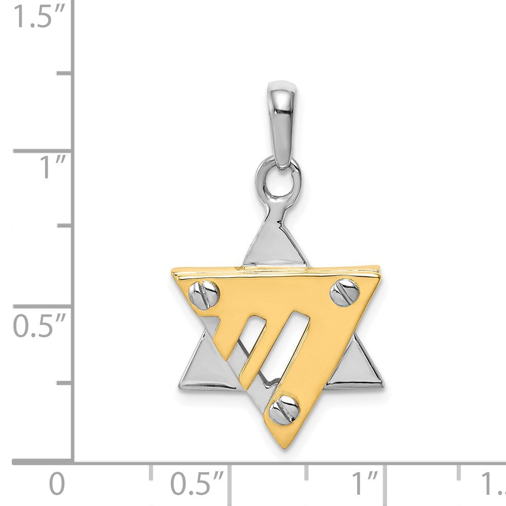 14K Bicolor Gold Davidstern-Anhänger