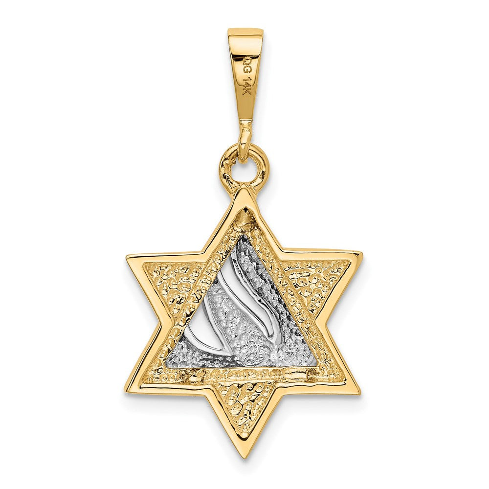 14K Bicolor Gold Davidstern-Anhänger