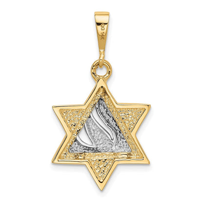 14K Bicolor Gold Davidstern-Anhänger