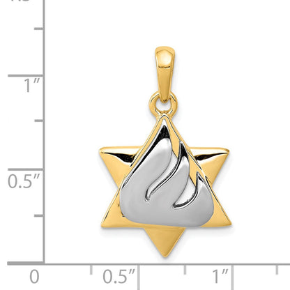 14K Bicolor Gold Davidstern-Anhänger