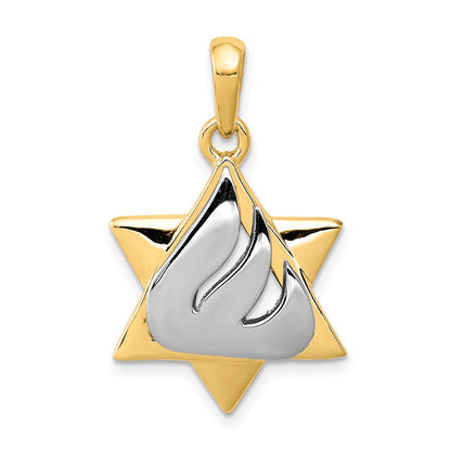 14K Bicolor Gold Davidstern-Anhänger
