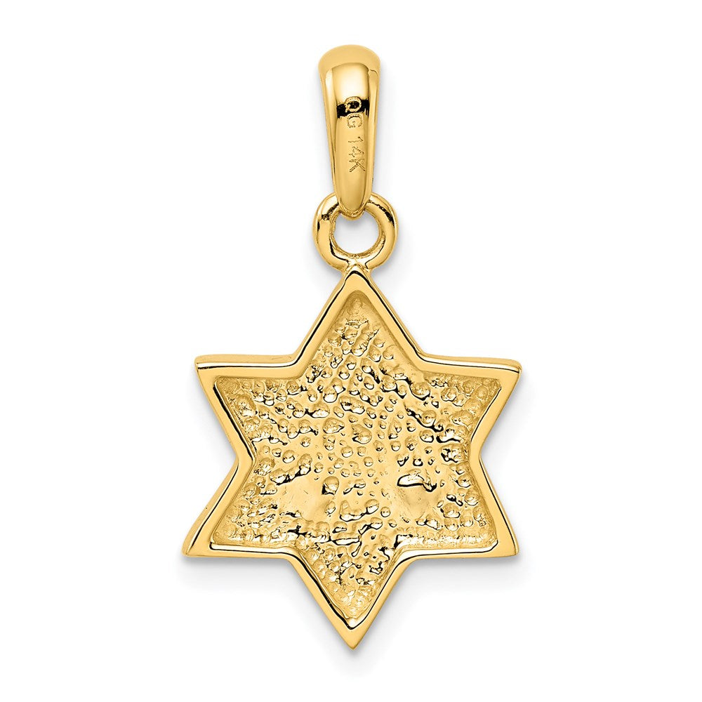 14K Bicolorgold Chai-Anhänger mit Davidstern