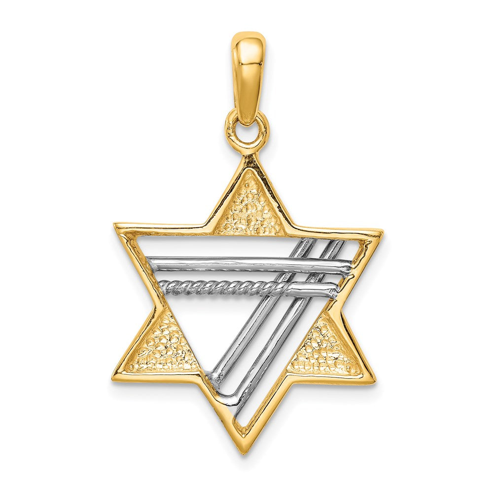 14K Bicolor Gold Davidstern-Anhänger