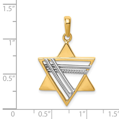 14K Bicolor Gold Davidstern-Anhänger