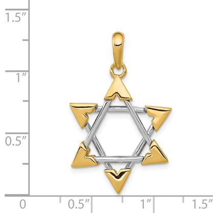 14K Bicolor-Gold Davidstern-Anhänger