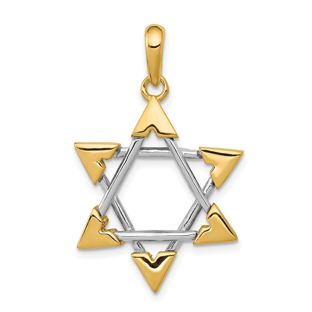 14K Bicolor-Gold Davidstern-Anhänger