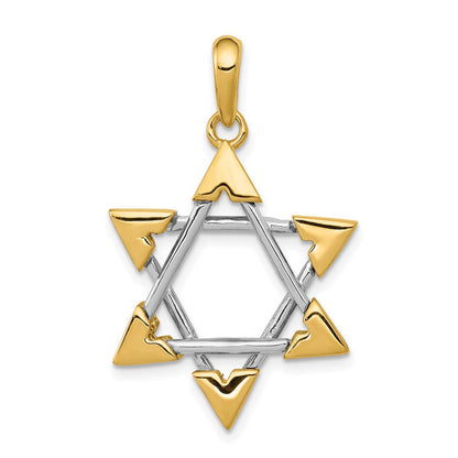 14K Bicolor-Gold Davidstern-Anhänger
