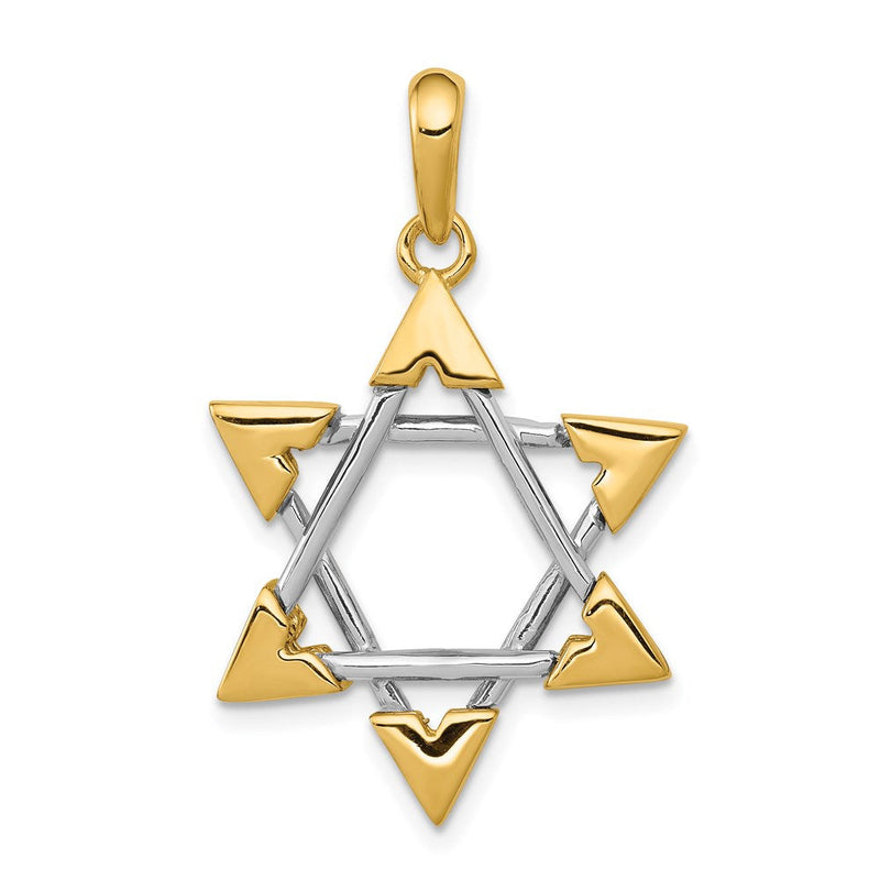 14K Bicolor-Gold Davidstern-Anhänger