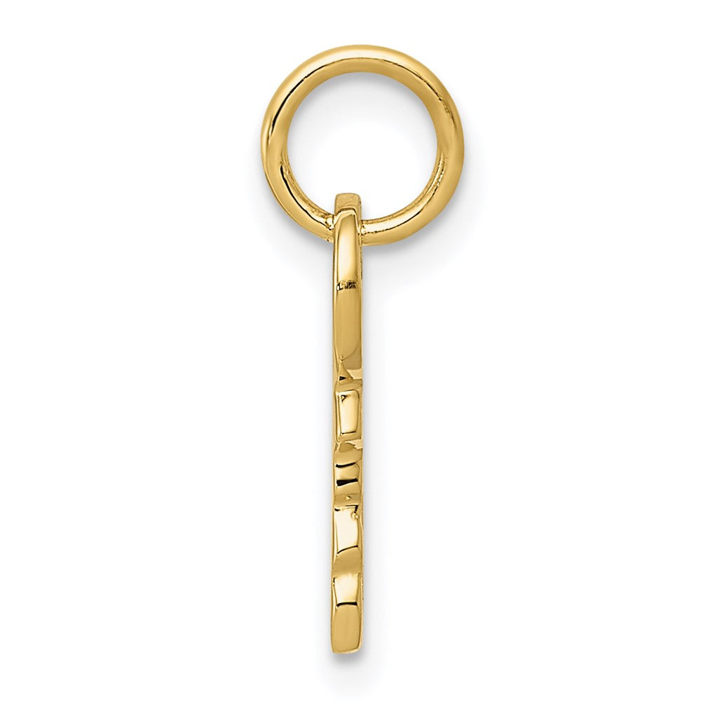 14K Gelbgold Poliert 3d Abgerundet Oberteil Key Charm