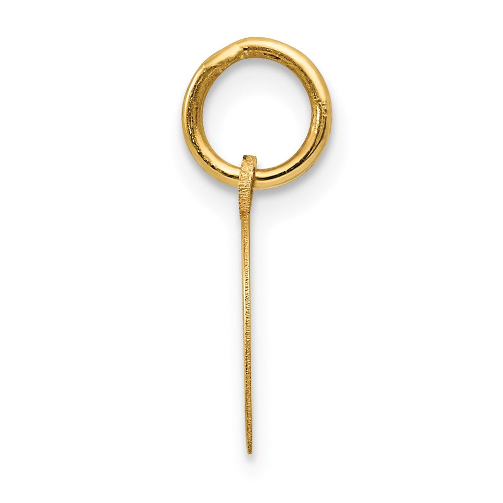 14K Gelbgold Hufeisen Charm