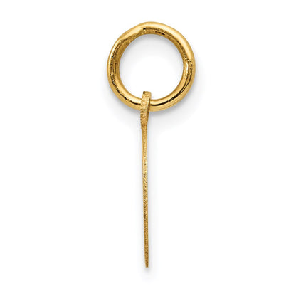 14K Gelbgold Hufeisen Charm