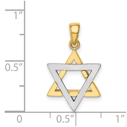 14K Bicolor Gold Davidstern-Anhänger