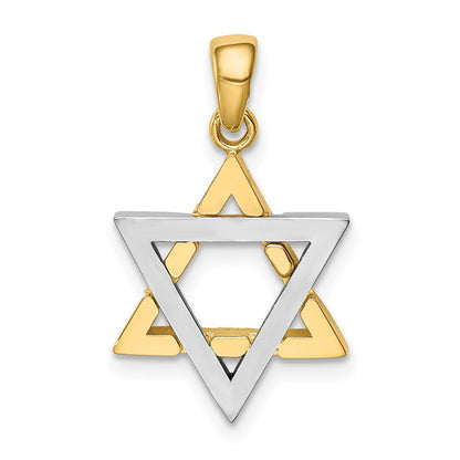 14K Bicolor Gold Davidstern-Anhänger