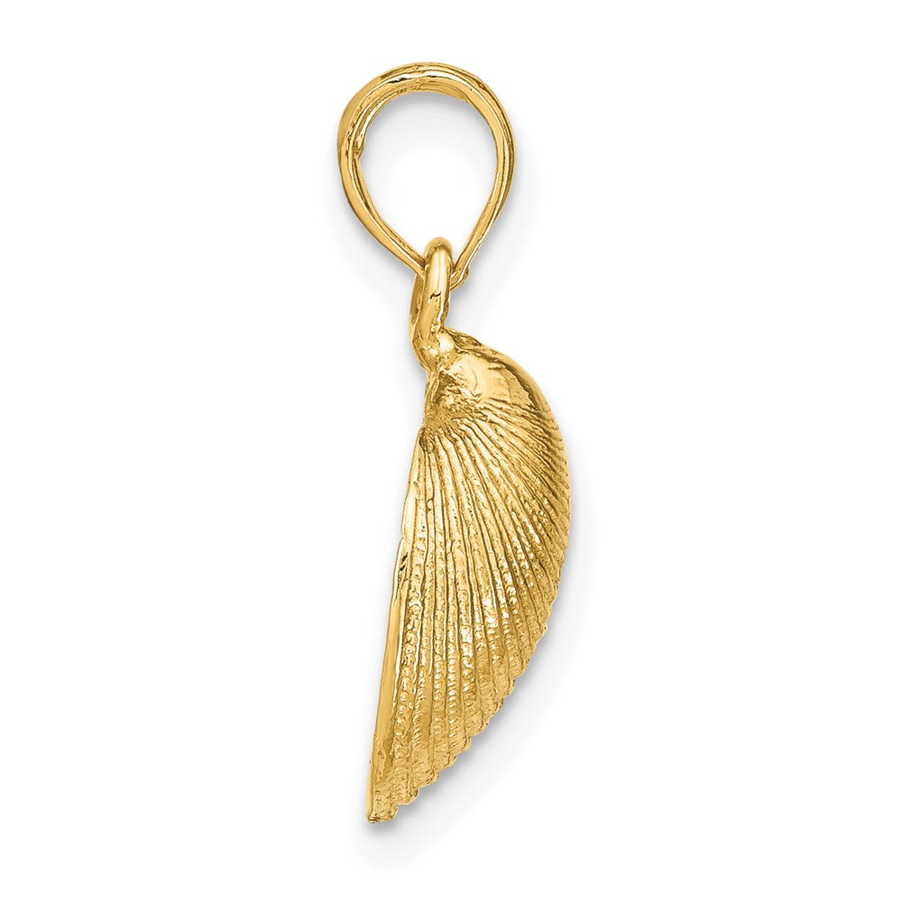 14K Gelbgold Muschelschalen-Anhänger, mittelgroß