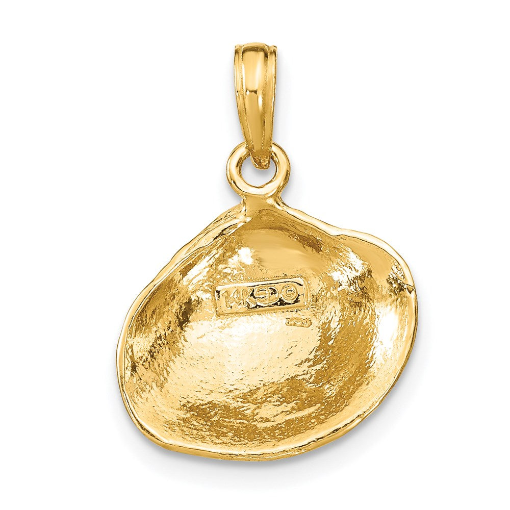 14K Gelbgold Muschelschalen-Anhänger, mittelgroß