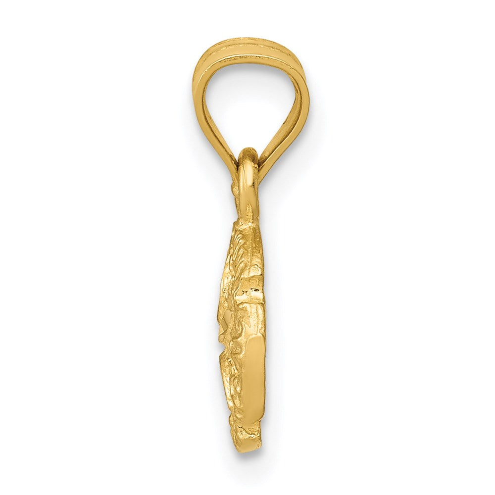 14K Gelbgold Sand Dollar Anhänger
