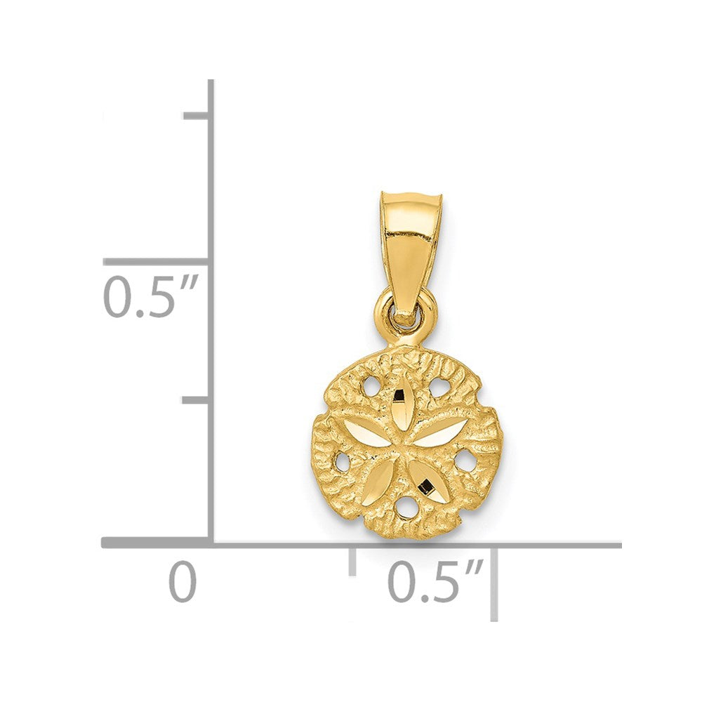 14K Gelbgold Sand Dollar Anhänger