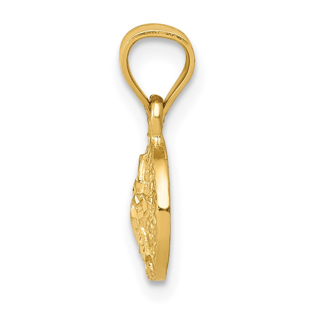 14K Gelbgold Sand Dollar Anhänger