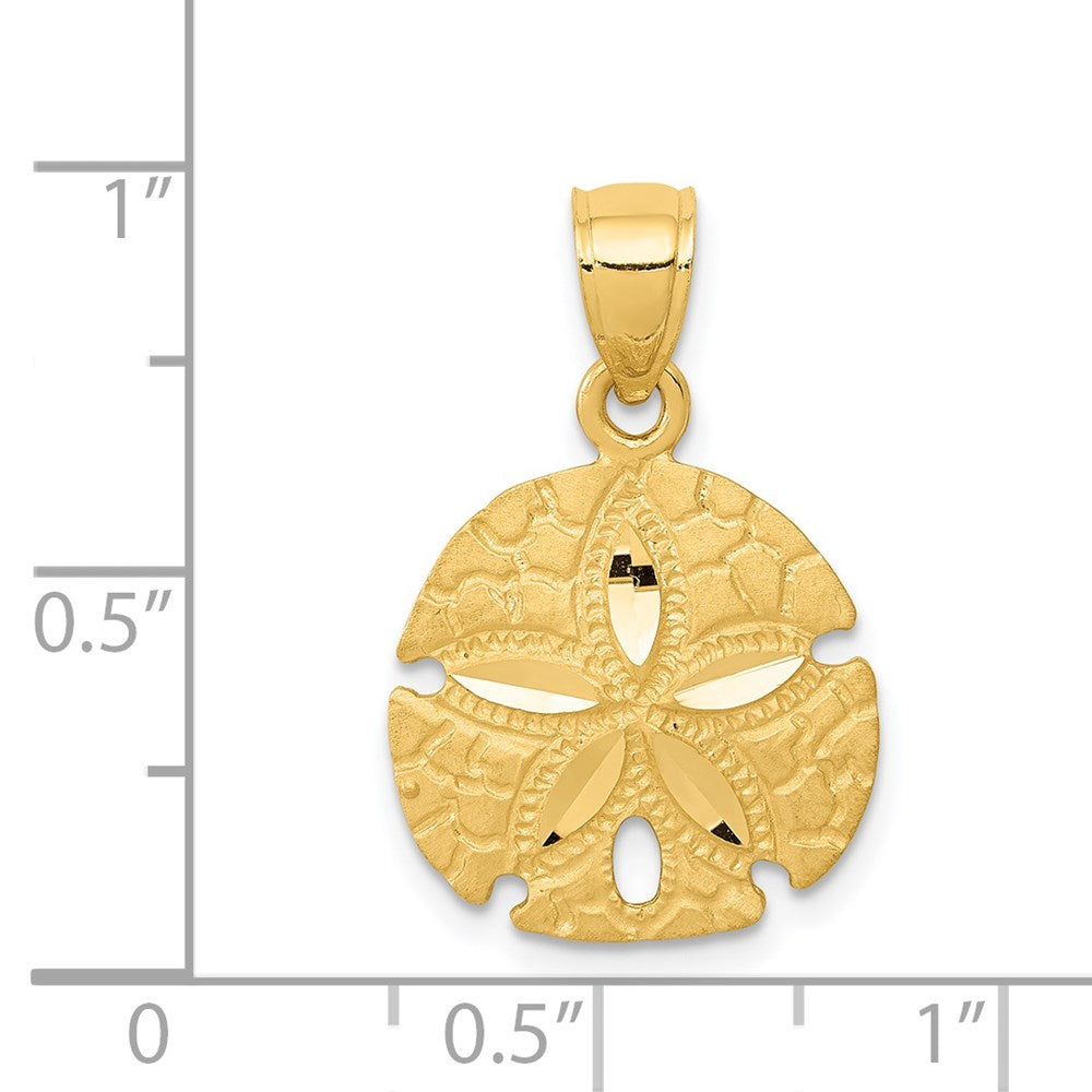Sanddollar-Anhänger aus 14K Gelbgold