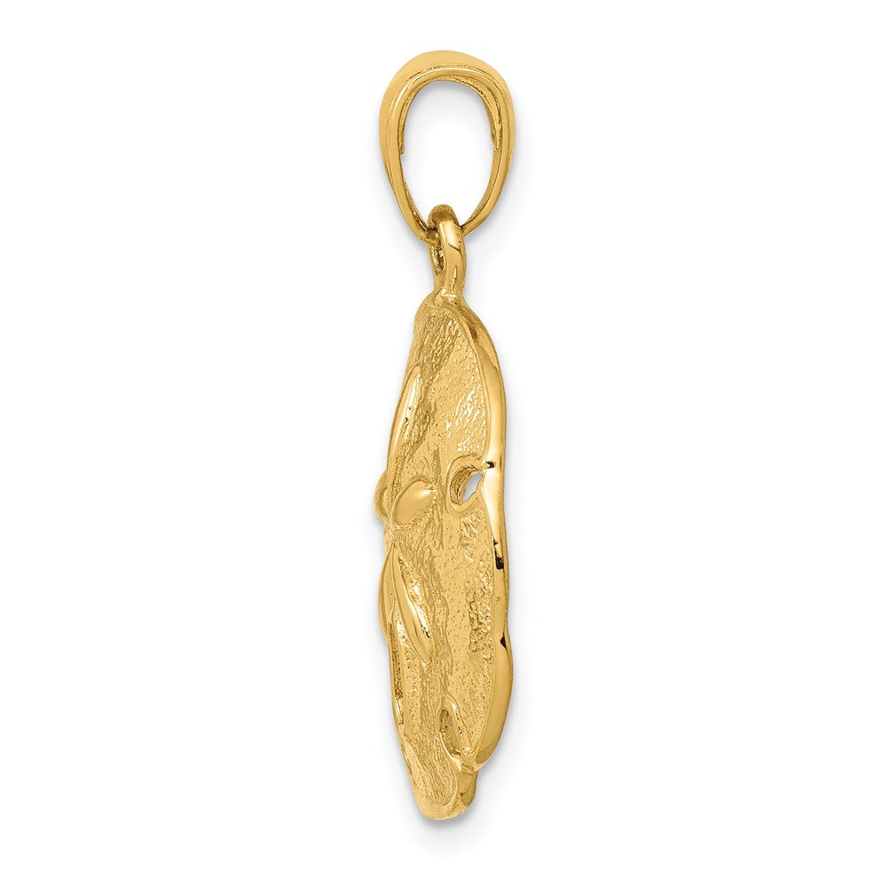 14 Karat Gelbgold Sanddollar-Anhänger