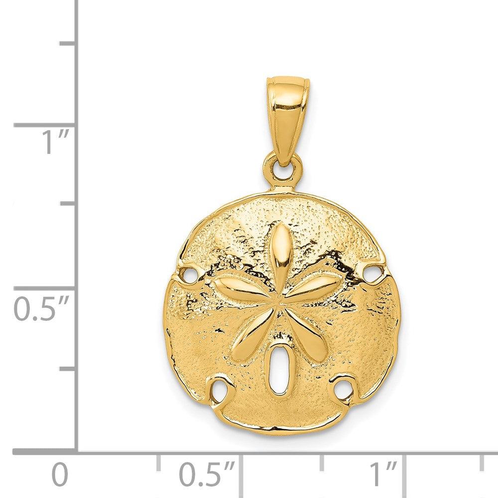 14 Karat Gelbgold Sanddollar-Anhänger