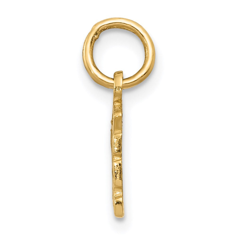 14K Gelbgold Schweizer Cheese Charm