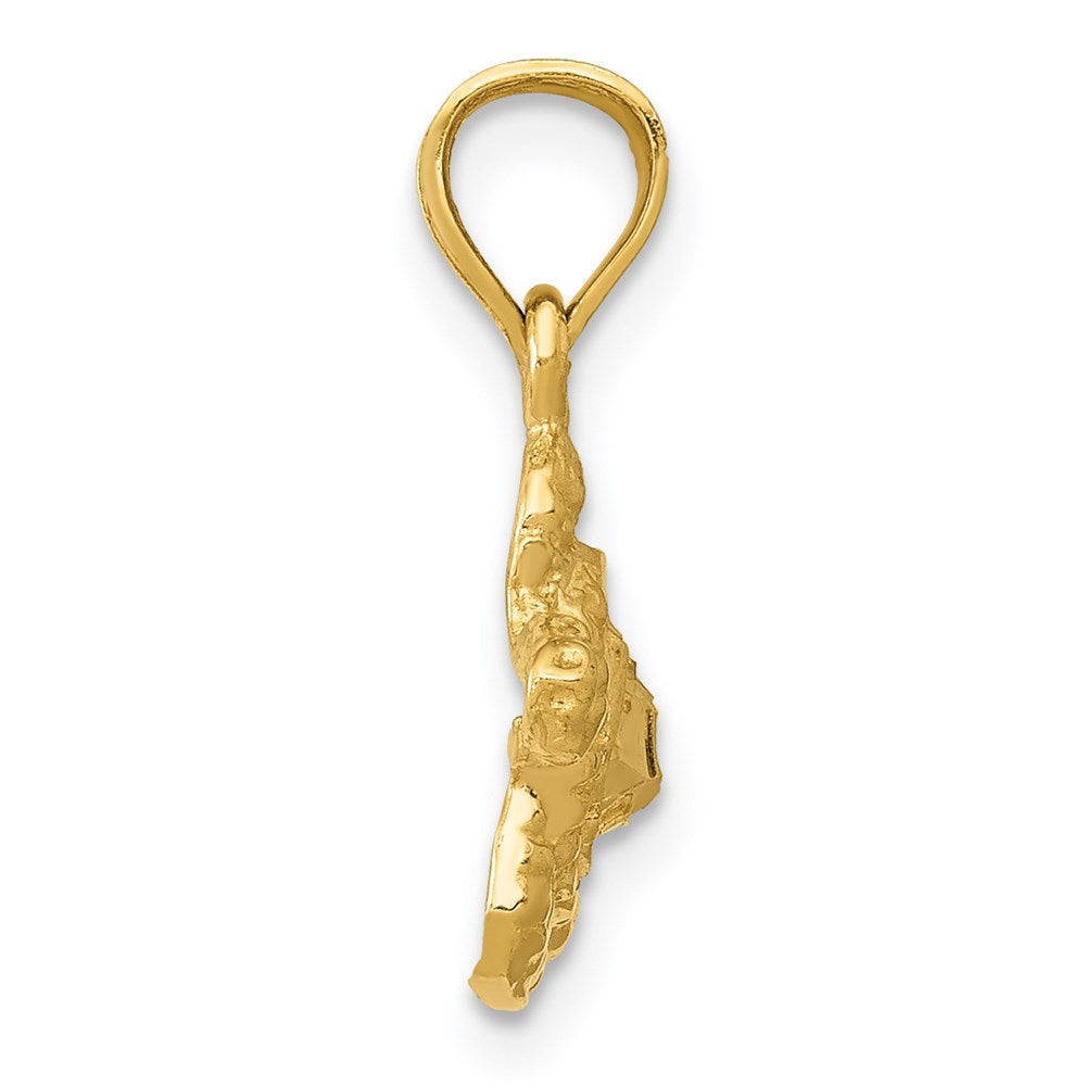 14K Gelbgold Schildkröte Anhänger