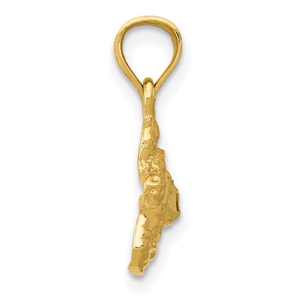 14K Gelbgold Schildkröte Anhänger