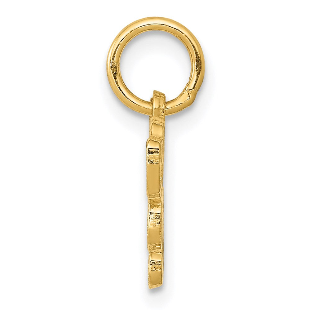 14K Gelbgold Saint Bernard Charm