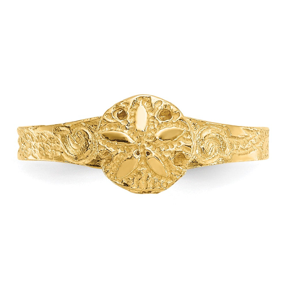 14K Gelbgold Diamantiert Sand Dollar Zehenring