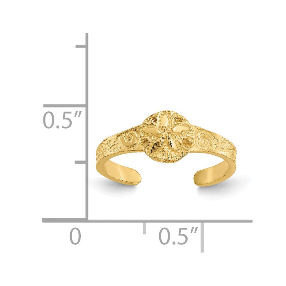 14K Gelbgold Diamantiert Sand Dollar Zehenring