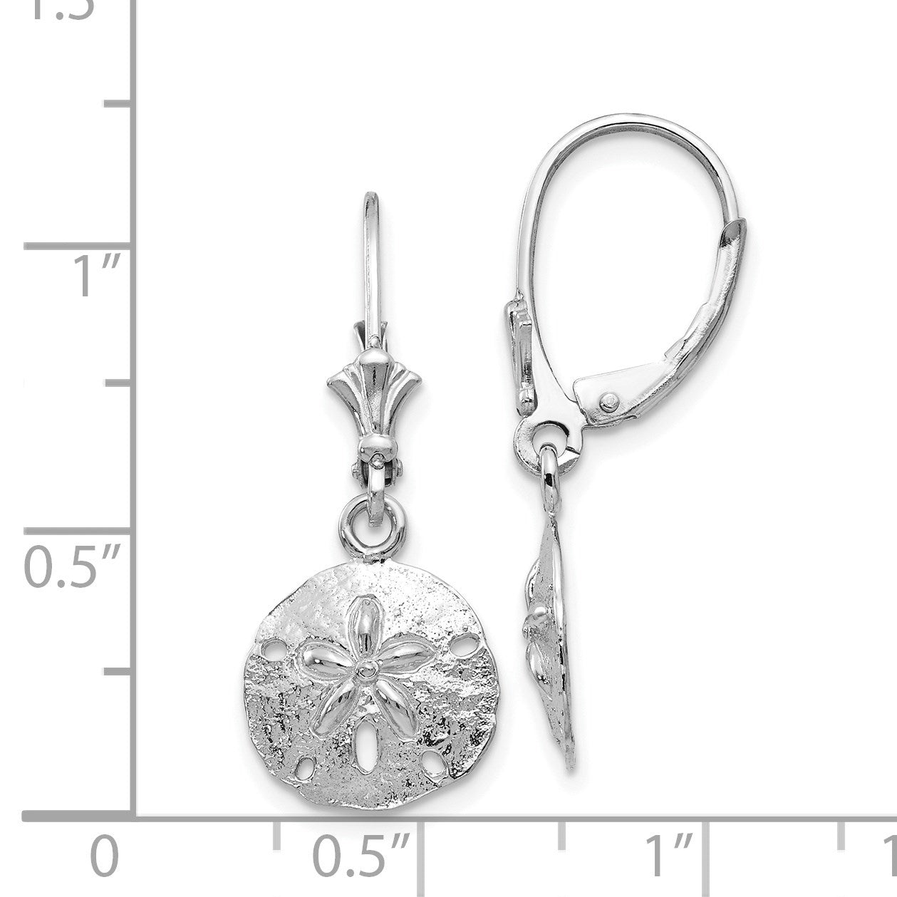 14K Weißgold Sanddollar-Ohrhänger mit Brisurverschluss, poliert