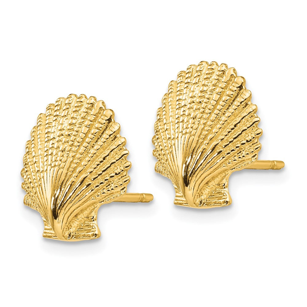 14K Gelbgold Muschel-Ohrstecker mit Wellenrand